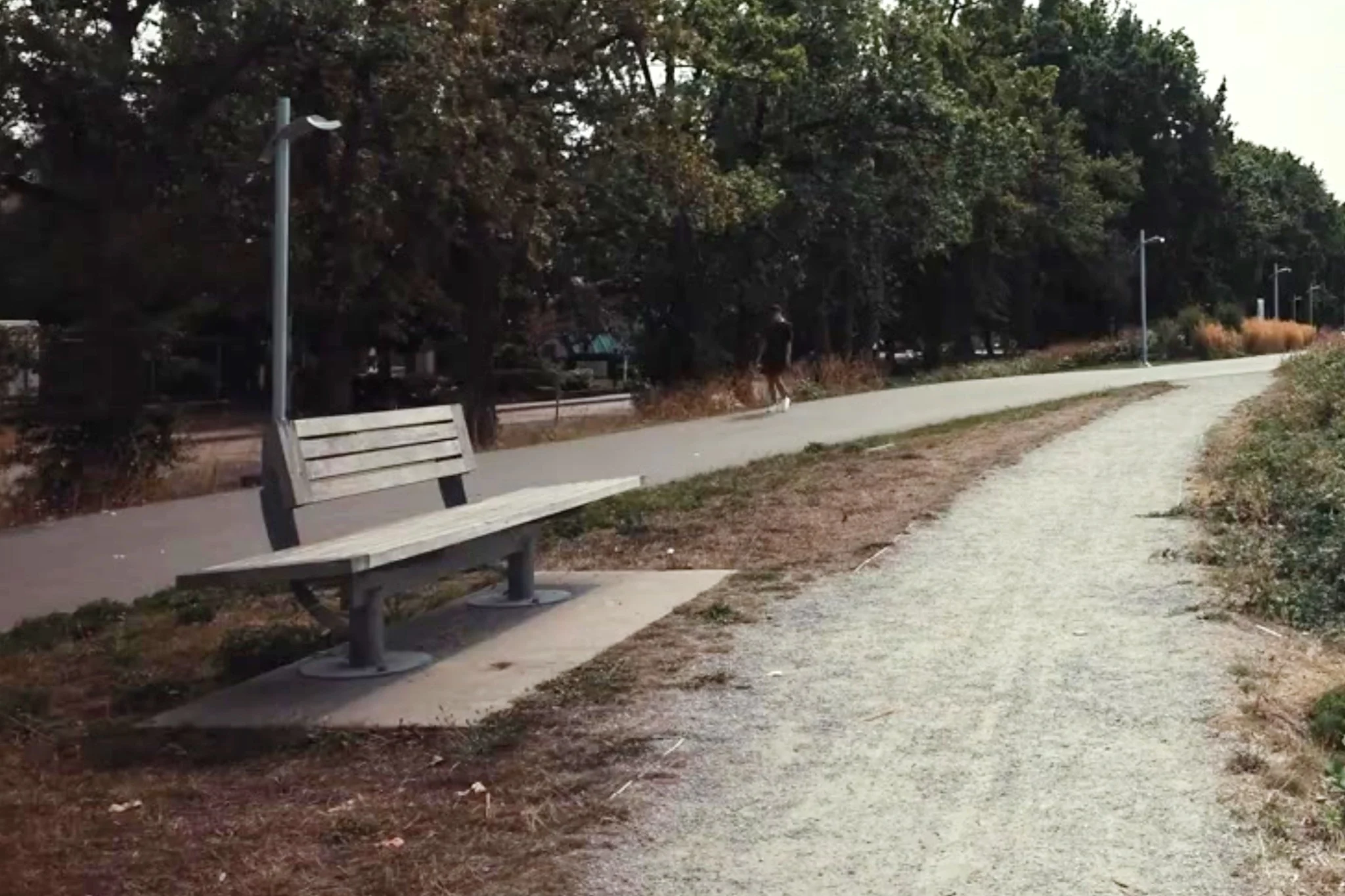 A wooden bench beside paved and gravel paths, with trees behind it